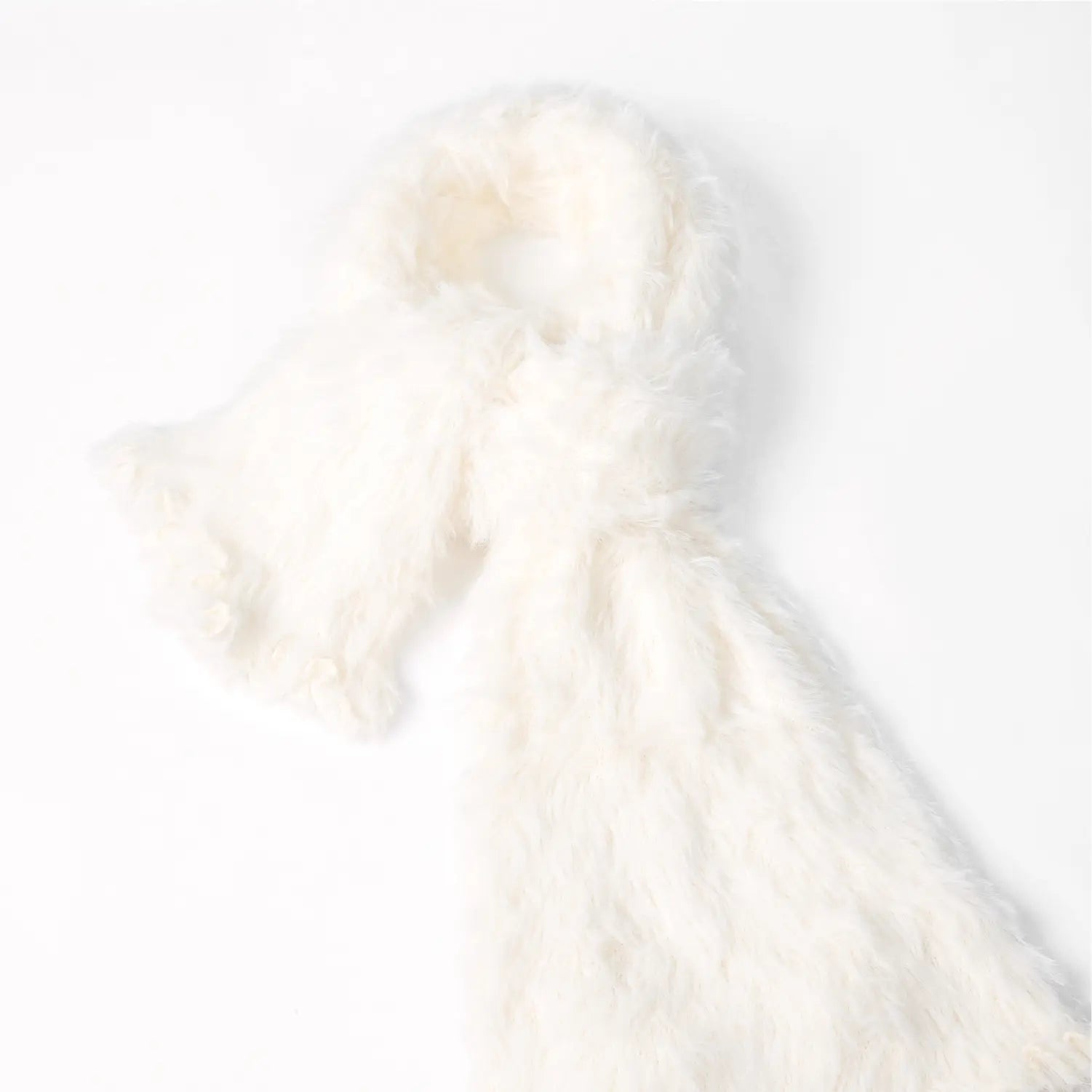 KM CHOICE: ONE Scarf- Wear ONE Scarf with Infinite Possibilities, Lightweight, Fur-Free, Shawl Wrap, Knitted Fluffy Scarf, Giving Shawl in Gift Box, Fall Winter Scarf for Women and Men, Infinity Scarf (Ivory)